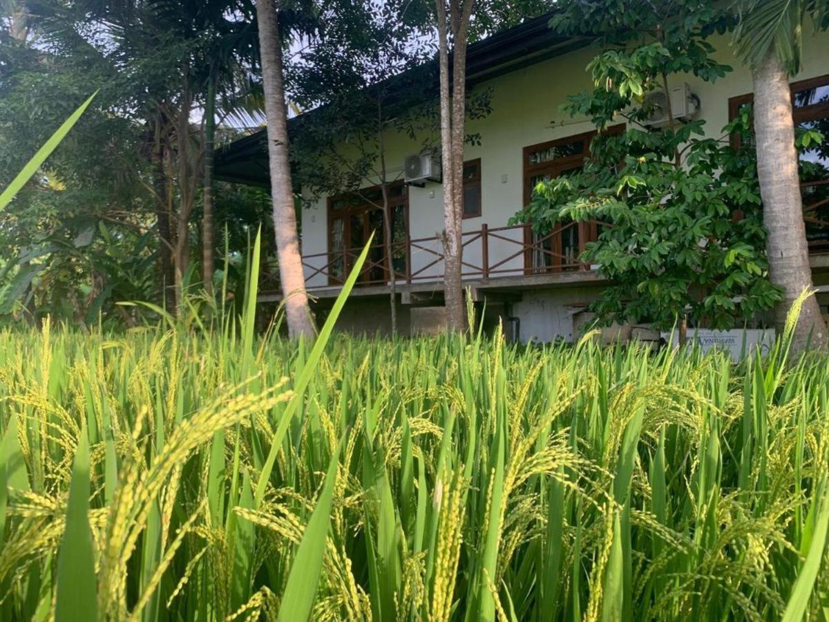 Anuradhapura Hotels Exterior photo